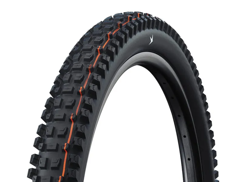 Schwalbe Albert Gravity Pro Folding Tire 29